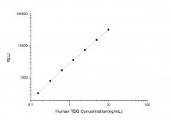 Standard Curve for Human TBG (Thyroxine Binding Globulin) CLIA Kit - Elabscience E-CL-H0956