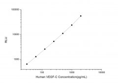 Standard Curve for Human VEGF-C (Vascular Endothelial Growth Factor C) CLIA Kit - Elabscience E-CL-H1029