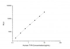 Standard Curve for Human TYR (Tyrosinase) CLIA Kit - Elabscience E-CL-H1056