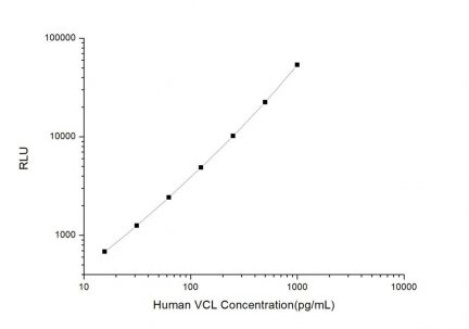 Standard Curve for Human VCL (Vinculin) CLIA Kit - Elabscience E-CL-H1117