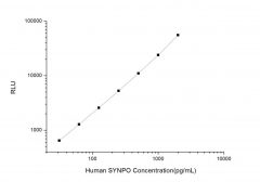 Standard Curve for Human SYNPO (Synaptopodin) CLIA Kit - Elabscience E-CL-H1221
