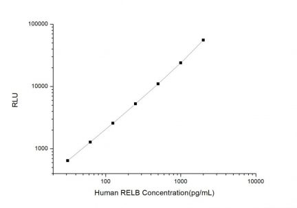 Standard Curve for Human RELB (V-Rel Reticuloendotheliosis Viral Oncogene Homolog B) CLIA Kit - Elabscience E-CL-H1426