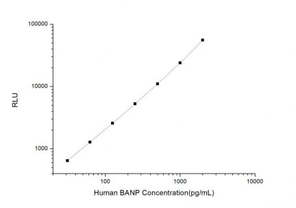 Standard Curve for Human BANP (BTG3 Associated Nuclear Protein) CLIA Kit - Elabscience E-CL-H1430