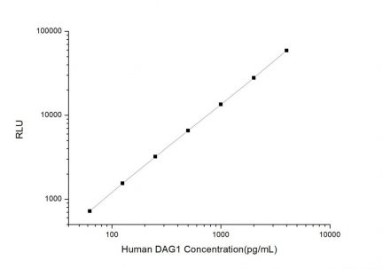 Standard Curve for Human DAG1 (Dystrophin Associated Glycoprotein 1) CLIA Kit - Elabscience E-CL-H1446