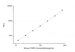 Standard Curve for Mouse TARC (Thymus Activation Regulated Chemokine) CLIA Kit - Elabscience E-CL-M0011