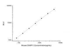 Standard Curve for Mouse CASP11 (Caspase 11) CLIA Kit - Elabscience E-CL-M0177