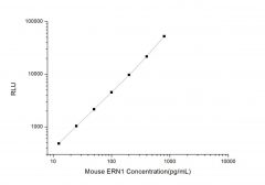 Standard Curve for Mouse ERN1 (Endoplasmic Reticulum To Nucleus Signalling 1) CLIA Kit - Elabscience E-CL-M0275