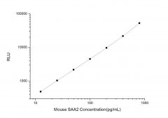 Standard Curve for Mouse SAA2 (Serum Amyloid A2) CLIA Kit - Elabscience E-CL-M0705