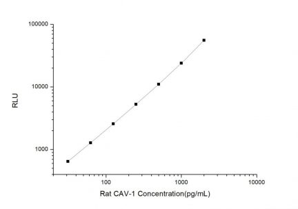 Standard Curve for Rat CAV-1 (Caveolin-1)CLIA Kit - Elabscience E-CL-R0125