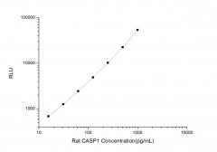 Standard Curve for Rat CASP1 (Caspase 1) CLIA Kit - Elabscience E-CL-R0241