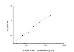 Standard Curve for Human BDNF (Brain Derived Neurotrophic Factor) ELISA Kit