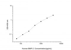 Standard Curve for Human BMP-2 (Bone Morphogenetic Protein 2) ELISA Kit