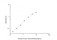 Standard Curve for Human E-Cad (E-Cadherin) ELISA Kit