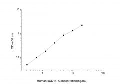 Standard Curve for Human sCD14 (Soluble Cluster of Differentiation14) ELISA Kit