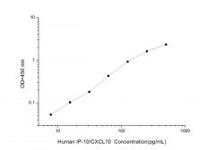 Standard Curve for Human IP-10/CXCL10 (Interferon Gamma Induced Protein 10kDa) ELISA Kit