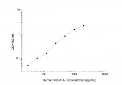 Standard Curve for Human VEGF-A (Vascular Endothelial Cell Growth Factor A ) ELISA Kit