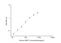 Standard Curve for Human AIMP1 (Aminoacyl tRNA Synthetase Complex Interacting Multifunctional Protein 1) ELISA Kit