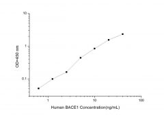 Standard Curve for Human BACE1 (Beta-site APP Cleaving Enzyme 1) ELISA Kit