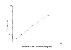 Standard Curve for Human BLVRB (Biliverdin Reductase B) ELISA Kit