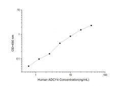 Standard Curve for Human ADCY4 (Adenylate Cyclase 4) ELISA Kit