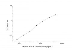 Standard Curve for Human AGER (Advanced Glycosylation End Product Specific Receptor) ELISA Kit