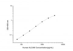 Standard Curve for Human ALCAM (Activated Leukocyte Cell Adhesion Molecule) ELISA Kit