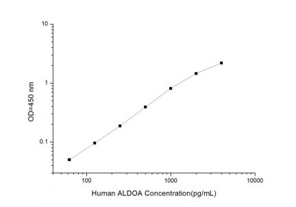 Standard Curve for Human ALDOA (Aldolase A, Fructose Bisphosphate) ELISA Kit