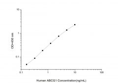 Standard Curve for Human ABCG1 (ATP Binding Cassette Transporter G1) ELISA Kit