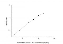 Standard Curve for Human BCL2L1/BCL-X (Bcl-2 Like Protein 1) ELISA Kit