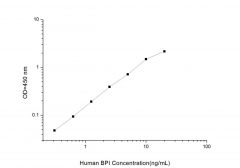 Standard Curve for Human BPI (Bactericidal/Permeability Increasing Protein) ELISA Kit