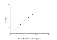 Standard Curve for Human BLNK (B-Cell Linker Protein) ELISA Kit