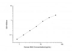 Standard Curve for Human Bax (Bcl-2 Associated X Protein) ELISA Kit