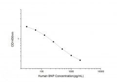 Standard Curve for Human BMP-1 (Bone Morphogenetic Protein 1) ELISA Kit