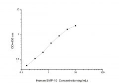 Standard Curve for Human BMP-10 (Bone Morphogenetic Protein 10) ELISA Kit