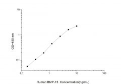 Standard Curve for Human BMP-15 (Bone Morphogenetic Protein 15) ELISA Kit