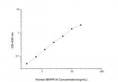 Standard Curve for Human BMPR1A (Bone Morphogenetic Protein Receptor, type IA) ELISA Kit