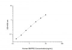 Standard Curve for Human BMPR2 (Bone Morphogenetic Protein Receptor II) ELISA Kit