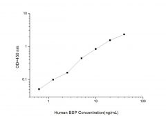 Standard Curve for Human BSP (Bone Sialoprotein) ELISA Kit
