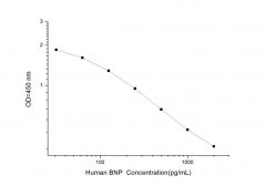 Standard Curve for Human BNP (Brain Natriuretic Peptide) ELISA Kit