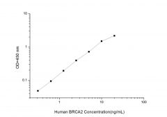 Standard Curve for Human BRCA2 (Breast Cancer Susceptibility Protein 2) ELISA Kit