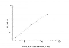 Standard Curve for Human BCAN (Brevican) ELISA Kit