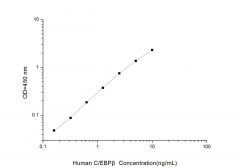Standard Curve for Human C/EBPβ (CCAAT/Enhancer Binding Protein Beta) ELISA Kit