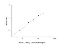 Standard Curve for Human C/EBPε (CCAAT/Enhancer Binding Protein, Epsilon) ELISA Kit