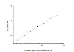 Standard Curve for Human C-jun (V-Jun Sarcoma Virus 17 Oncogene Homolog) ELISA Kit