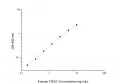 Standard Curve for Human TIEG1 (TGF Beta Inducible Early Response Gene 1) ELISA Kit
