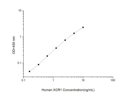 Standard Curve for Human XCR1 (XC-Chemokine Receptor 1) ELISA Kit