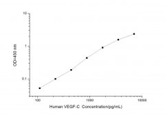Standard Curve for Human VEGF-C (Vascular Endothelial Growth Factor C) ELISA Kit