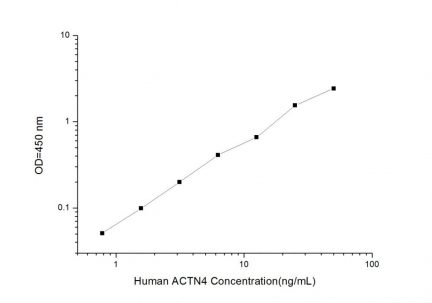 Standard Curve for Human ACTN4 (Actinin Alpha 4) ELISA Kit