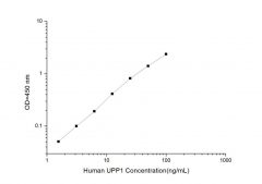 Standard Curve for Human UPP1 (Uridine Phosphorylase 1) ELISA Kit