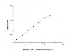 Standard Curve for Human TNK2 (Tyrosine Kinase, Non Receptor 2) ELISA Kit